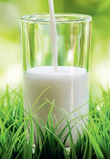 Verlag Lebensmittel-Industrie: CALCIUMCARBONAT - Natürlicher